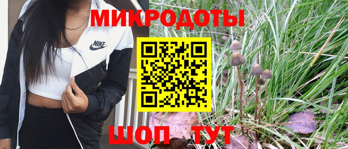 Псилоцибиновые грибы мицелий  Вход с VPN  Ипатово 