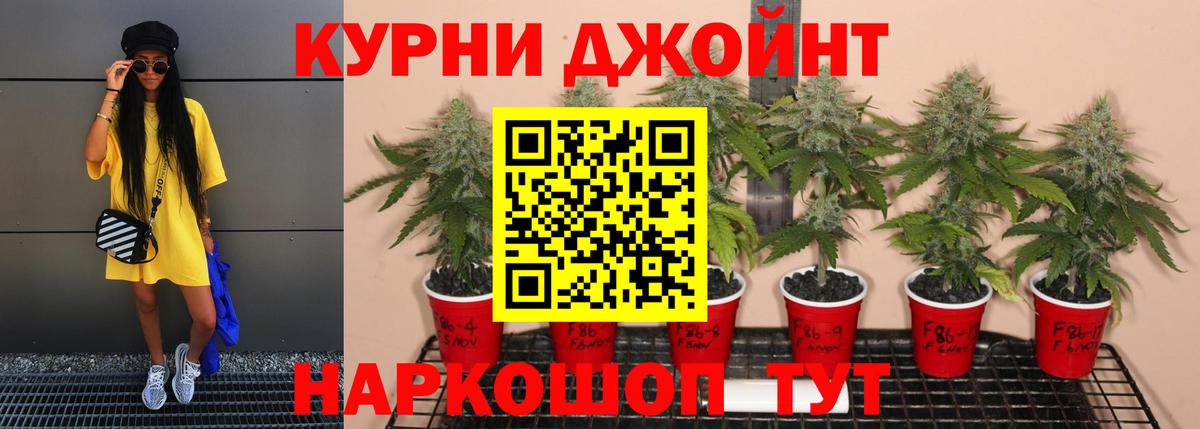Бошки марихуана гибрид  Вход с VPN  Шишки марихуана план  Ипатово 